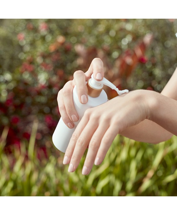 Softening Hand Lotion Rose